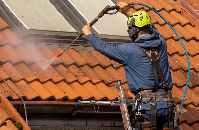 Démoussage et hydrofuge de toiture au Gué-d'Alleré